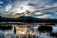 Quincy Bog Sunrise