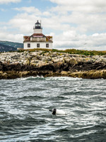 Lonely Buoy