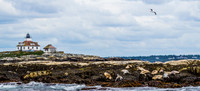Egg Rock Island and Seals