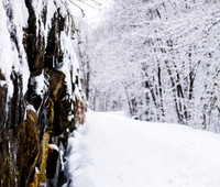 Rock Wall